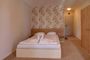 Rooms & Apartments