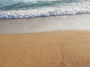 The Sea