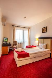 Rooms & Apartments