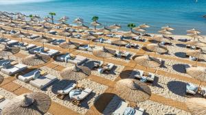 The Beach