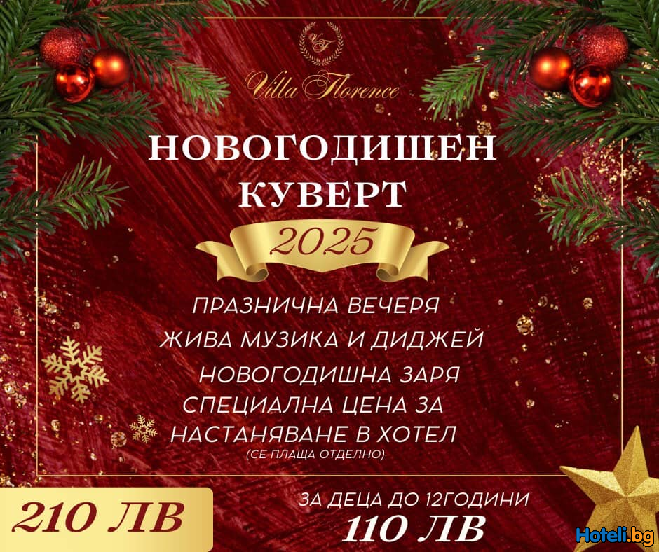НОВА ГОДИНА 2025 ВЪВ VILLA FLORENCE !