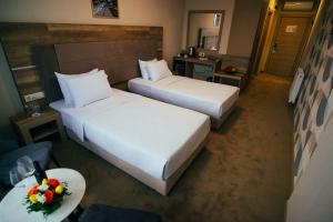 Rooms & Suites