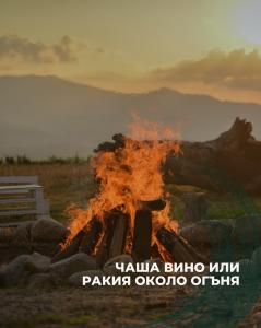 Гурме приключение из дивата природа !