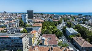Birds View