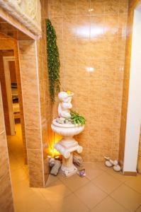 SPA Center BREZA Borovets