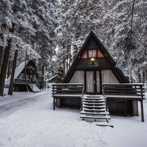 Вилно Селище МАЛИНА